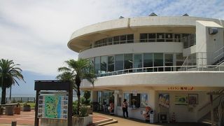 海外景色見ながら食事は最高です。