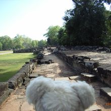 今はただの石畳ですが・・・