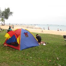 海岸でテントを広げる家族