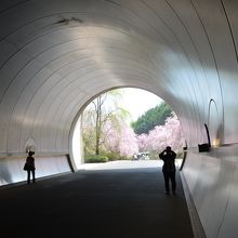 橋の手前にあるトンネルを抜けます（背面に美術館）
