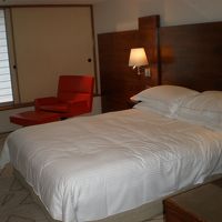 障子が柔らかい光線でヒルトンの好きなお部屋