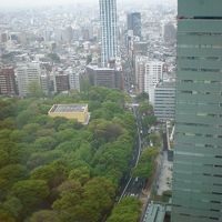 37階から見た新宿の景色