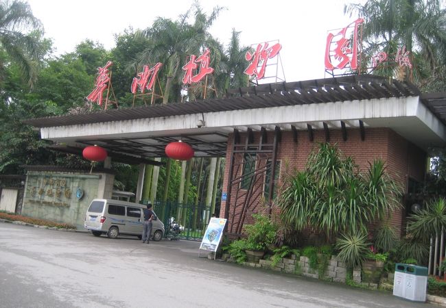 広大な華南植物園