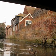小船、パントに乗って川から眺める景色