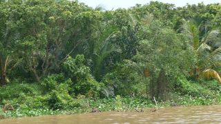 シンカフェのバスツアーでメコン川クルーズ