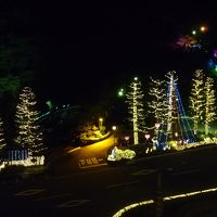山側の部屋からの眺め