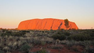 真っ赤に染まるエアーズロックがとても綺麗です。