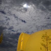 夜のとれとれ♪