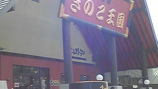 きのこ製品がたくさんあります