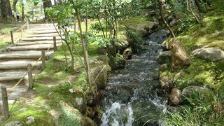 GWは新緑が見事！