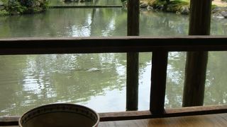 風情を感じながらお抹茶を