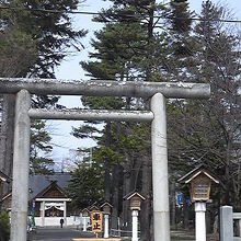 大きな鳥居と木が並んでいます