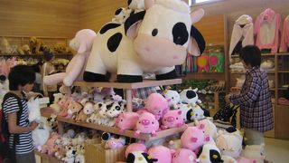 動物や素敵な風景!人が多くてもイライラせず楽しめる☆