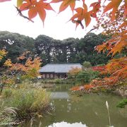 浄瑠璃寺　紅葉の極楽浄土