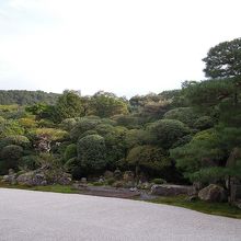 鶴亀の庭　方丈から見る