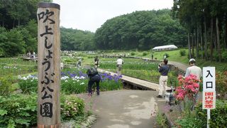 ボランティアの方が何人か