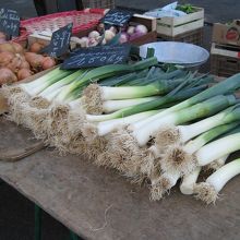 ネギも何だかおいしそう