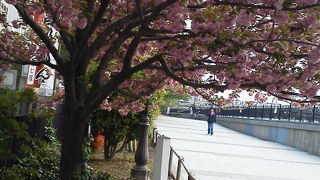 お花見スポット