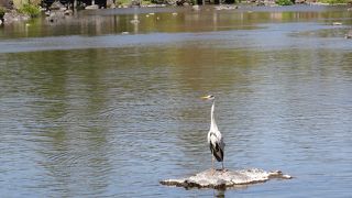 熊本を代表する名園