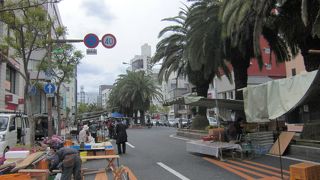 行くなら午前中です