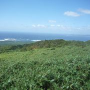 利尻山見返台園地・・・まるで南国！北海道とは思えない光景でした。