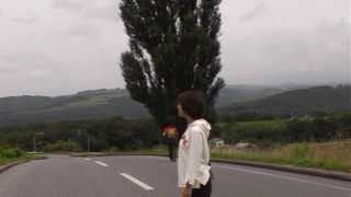 美瑛（びえい）の絶景ポイントはここ！