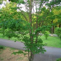 ゲストルームからの眺め