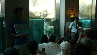 白熊のショーは必見！