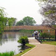 羽生水郷公園は「さいたま水族館」のある公園で羽生市三田ヶ谷農林公園（愛称キヤッセ羽生）と隣接