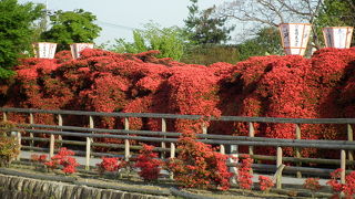 長岡天満宮のいいところ！