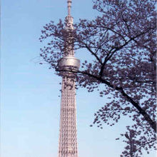 夕方のスカイツリー