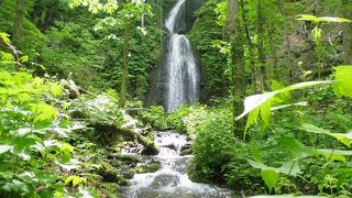 奥入瀬渓流では高い滝