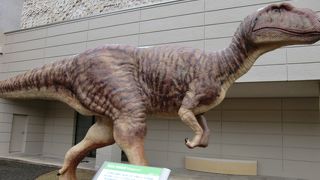 恐竜や巨石人頭などがありました