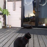 食堂へのアプローチ