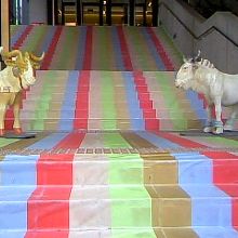 NU茶屋町プラス横側の2階に上がる入り口にて♪