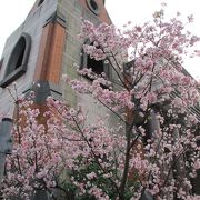 1882年からの歴史を持つ文教施設。桜の時期には必見！