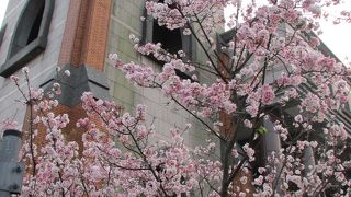 1882年からの歴史を持つ文教施設。桜の時期には必見！