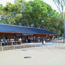 スタバがオープン。公園を眺めながら一休み