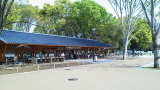 広いです。桜の名所