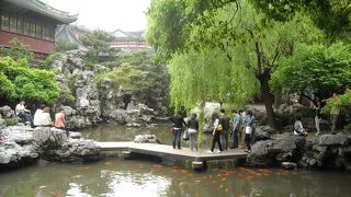 見る価値あります。