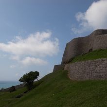 見事な曲線美です