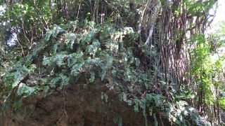 周囲と空気が異なる感じです