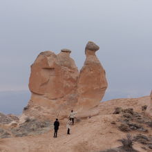 のどかな景色です