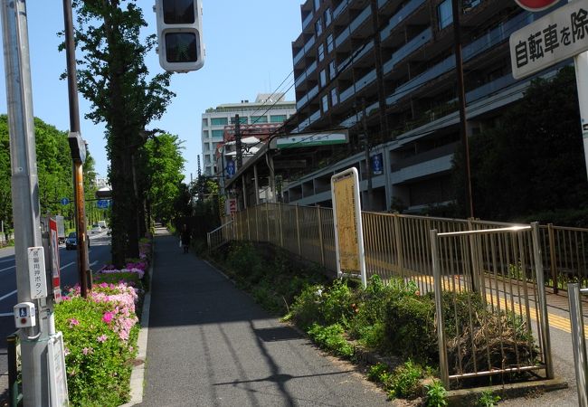 学習院下駅沿いは、つつじがきれいです。