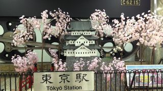 この時期の東京駅には、弘前城の桜が