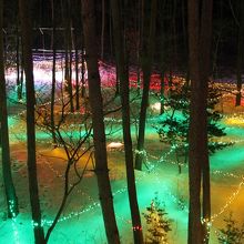 イルミネーション・・・最高！！