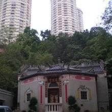 丘と高層フラットが背景です。