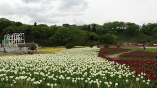 ドイツらしさはあまり無いけど　【東京ドイツ村】
