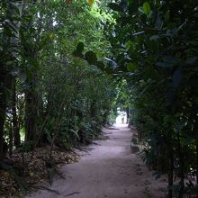 ここを抜けると海岸に出ます