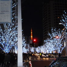 向こうには東京タワー